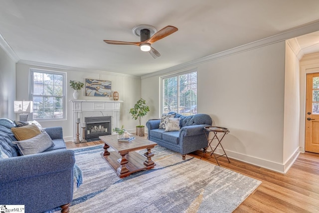 living room with ceiling fan, plenty of natural light, ornamental molding, and light hardwood / wood-style flooring