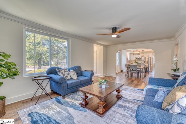 living room featuring ceiling fan with notable chandelier, wood-type flooring, and crown molding