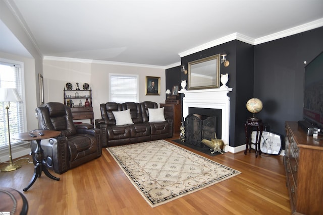 living room with crown molding and wood-type flooring