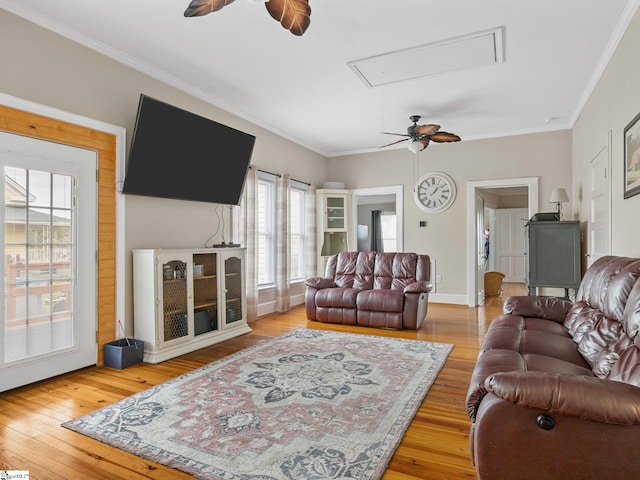 living room featuring crown molding and hardwood / wood-style floors