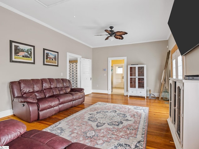 living room featuring ceiling fan, wood-type flooring, and crown molding