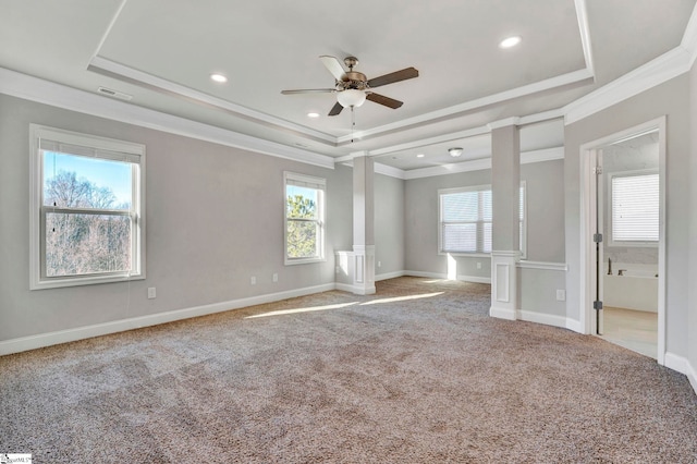 empty room featuring light carpet, a healthy amount of sunlight, a tray ceiling, and ceiling fan