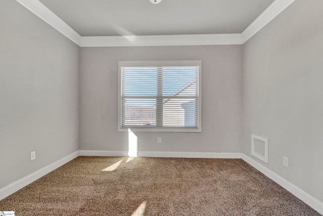 empty room featuring ornamental molding and carpet floors