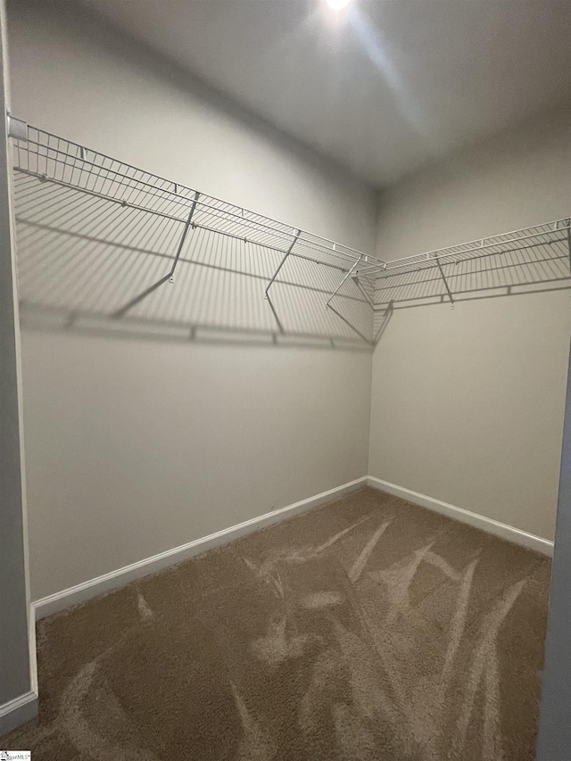 spacious closet with dark colored carpet