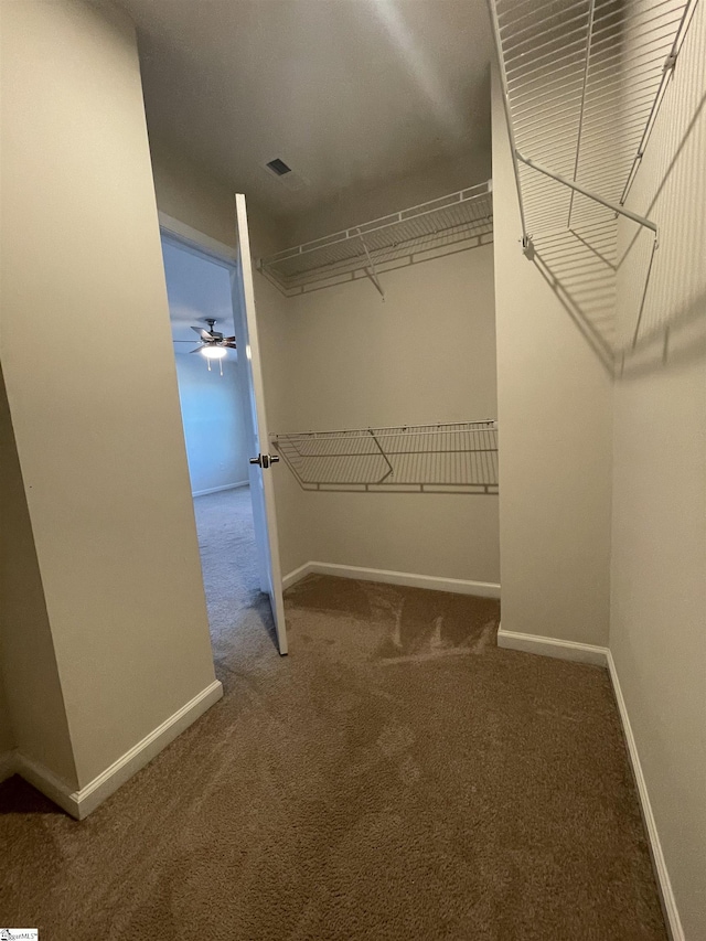 walk in closet with carpet floors