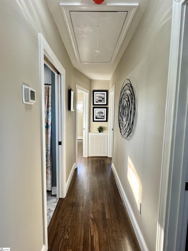 hallway featuring dark hardwood / wood-style flooring