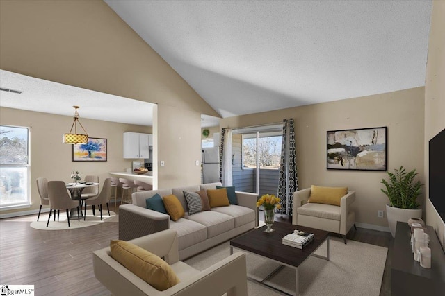 living room featuring vaulted ceiling and wood-type flooring