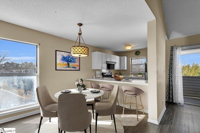 dining space featuring a textured ceiling and hardwood / wood-style floors