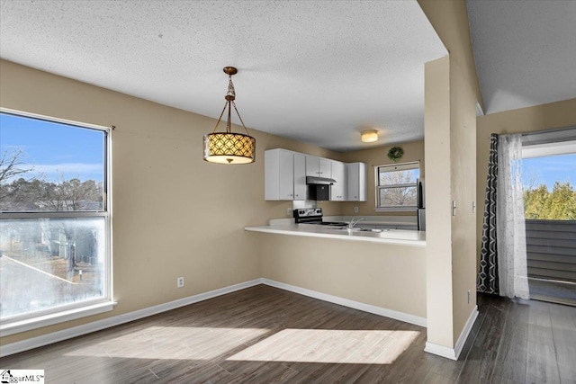 kitchen with kitchen peninsula, appliances with stainless steel finishes, wood-type flooring, pendant lighting, and white cabinets