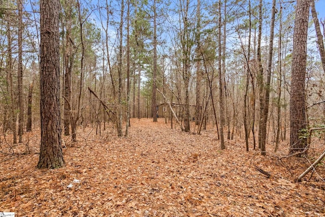 2145 Bethany Church Rd, Clinton, SC 29325
