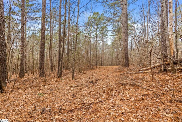 2145 Bethany Church Rd, Clinton, SC 29325