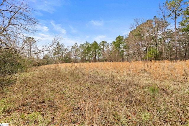 2145 Bethany Church Rd, Clinton, SC 29325