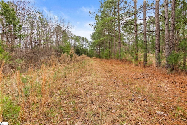 2145 Bethany Church Rd, Clinton, SC 29325