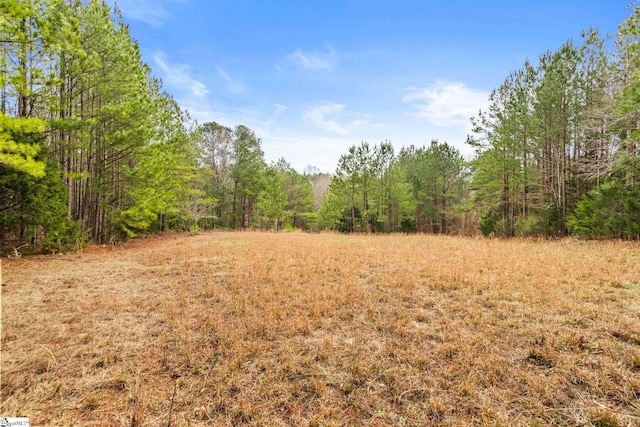 2145 Bethany Church Rd, Clinton, SC 29325