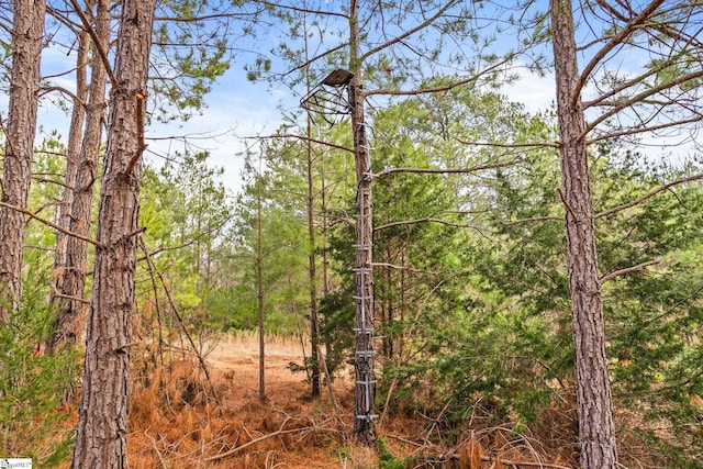 2145 Bethany Church Rd, Clinton, SC 29325