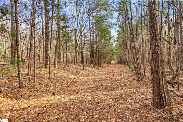 2145 Bethany Church Rd, Clinton, SC 29325