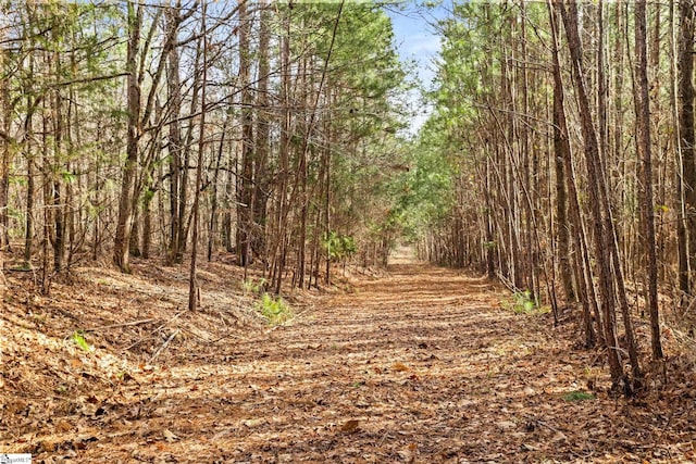 2145 Bethany Church Rd, Clinton, SC 29325