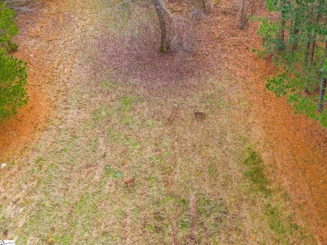 2145 Bethany Church Rd, Clinton, SC 29325