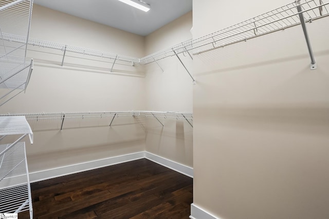 walk in closet with wood-type flooring