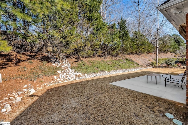 view of yard featuring a patio