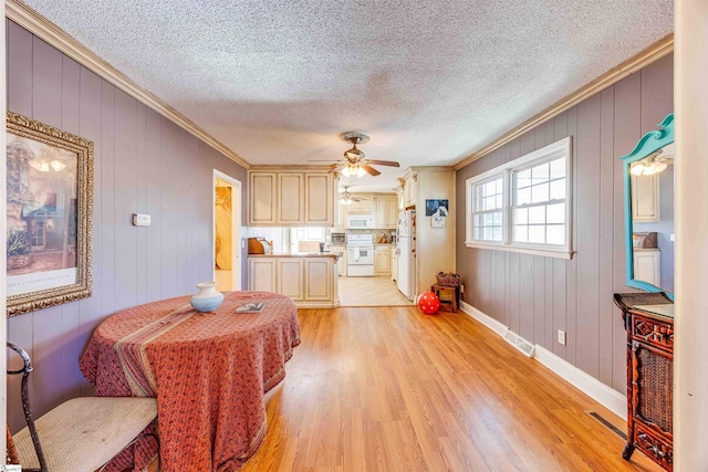 dining space featuring ceiling fan, crown molding, light hardwood / wood-style floors, and wood walls