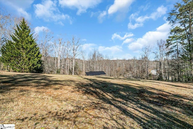 view of yard featuring a forest view