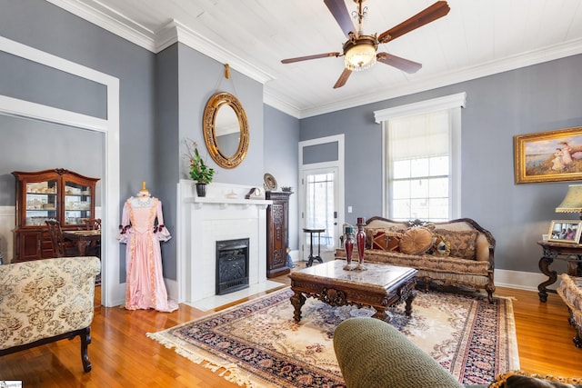 living room featuring ceiling fan, hardwood / wood-style floors, ornamental molding, and a fireplace