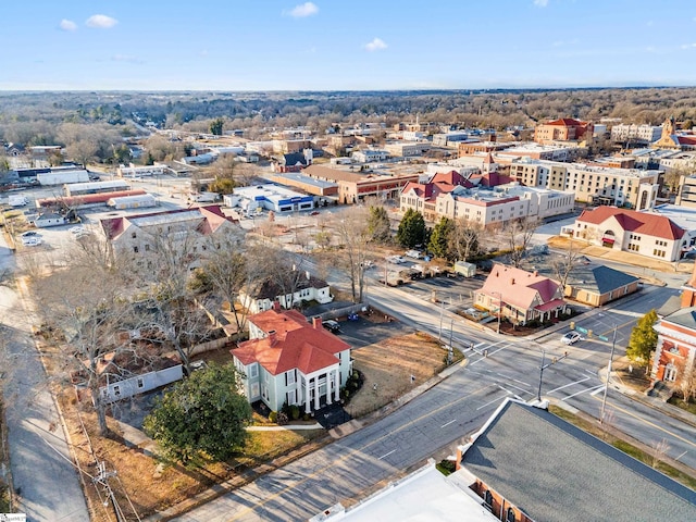 bird's eye view