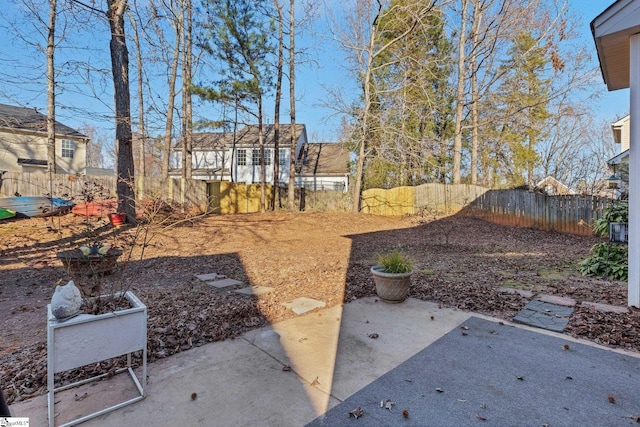 view of yard with a patio