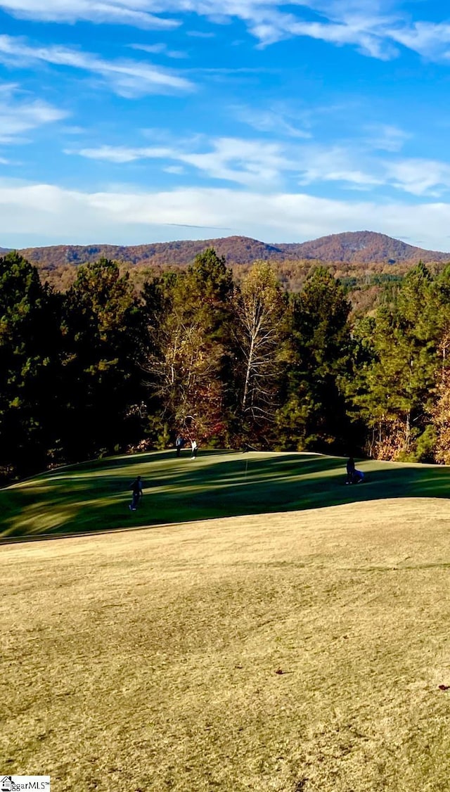 view of home's community with a mountain view and a lawn