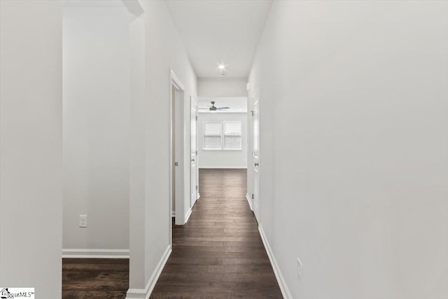 hall with dark hardwood / wood-style flooring