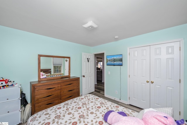 bedroom featuring a closet and hardwood / wood-style floors