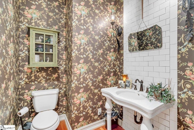 bathroom with toilet and hardwood / wood-style flooring