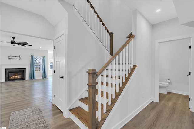 stairs featuring ceiling fan and hardwood / wood-style flooring