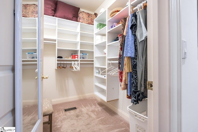 spacious closet with carpet