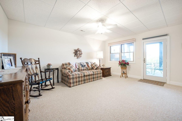 carpeted living room with ceiling fan and a paneled ceiling