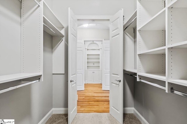 spacious closet featuring carpet