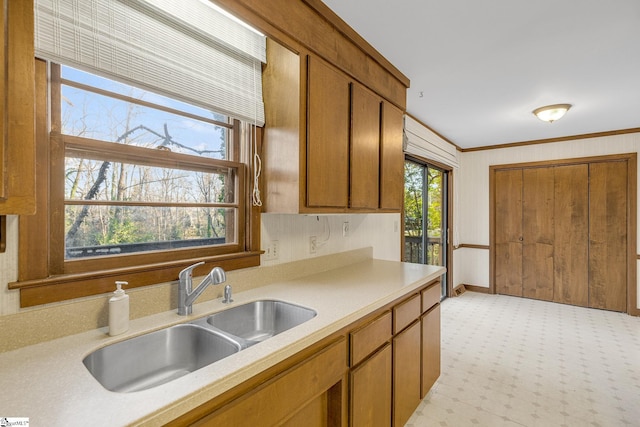 kitchen with crown molding and sink