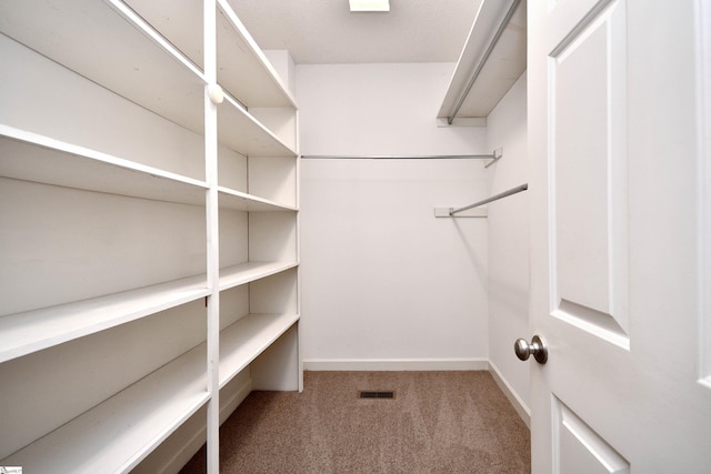 spacious closet featuring carpet floors