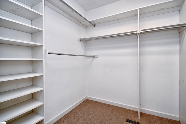 walk in closet featuring carpet flooring