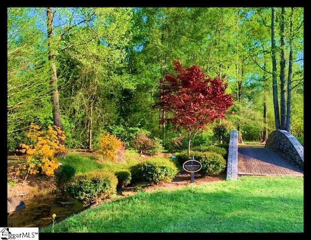 view of home's community with a yard