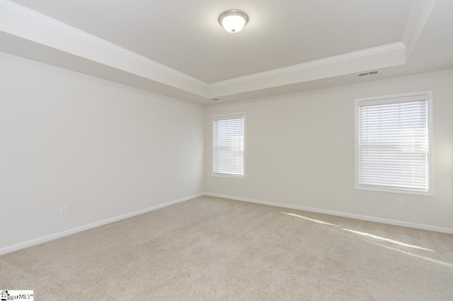 carpeted empty room featuring crown molding and a raised ceiling