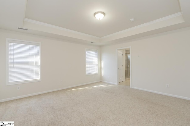 carpeted empty room featuring crown molding and a raised ceiling