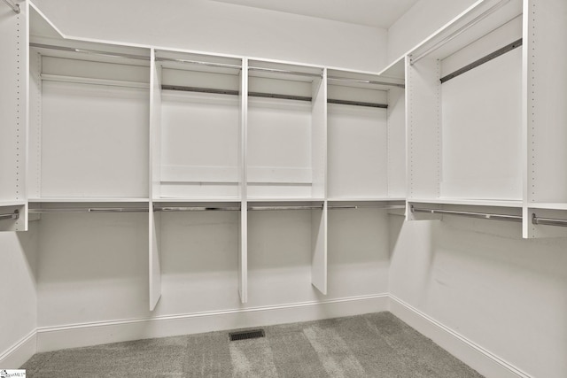 spacious closet featuring carpet floors