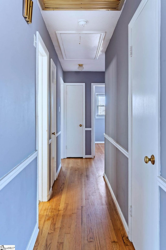 hallway featuring light hardwood / wood-style floors