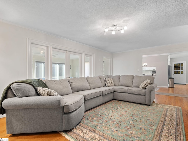 living room with light wood-type flooring, ornamental molding, and a textured ceiling