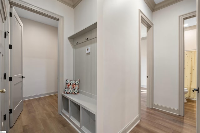 mudroom with wood-type flooring and crown molding