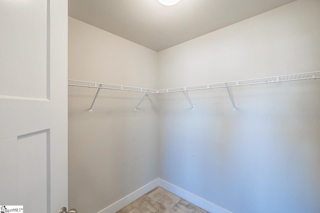 spacious closet featuring carpet flooring