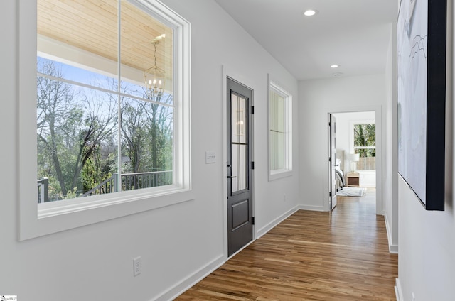 interior space with an inviting chandelier, a healthy amount of sunlight, and wood-type flooring