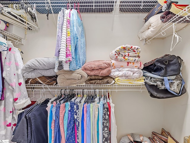 view of spacious closet